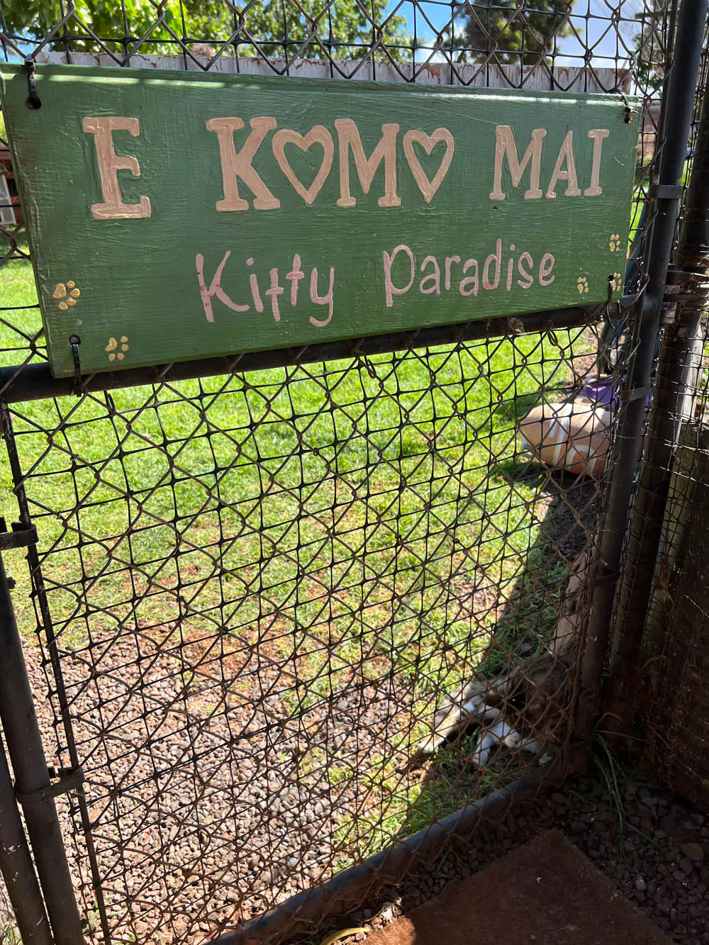 “E Komo Mai” sign—meaning “Welcome” in Hawaiian—displayed on a wooden fence gate, inviting visitors with a warm island greeting.