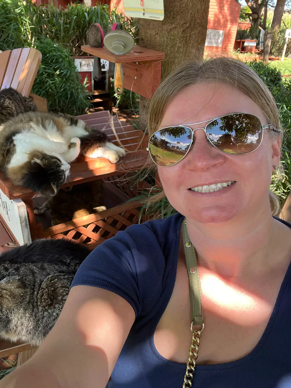 Katie surrounded by friendly cats in a sunny open-air enclosure with tropical plants nearby.