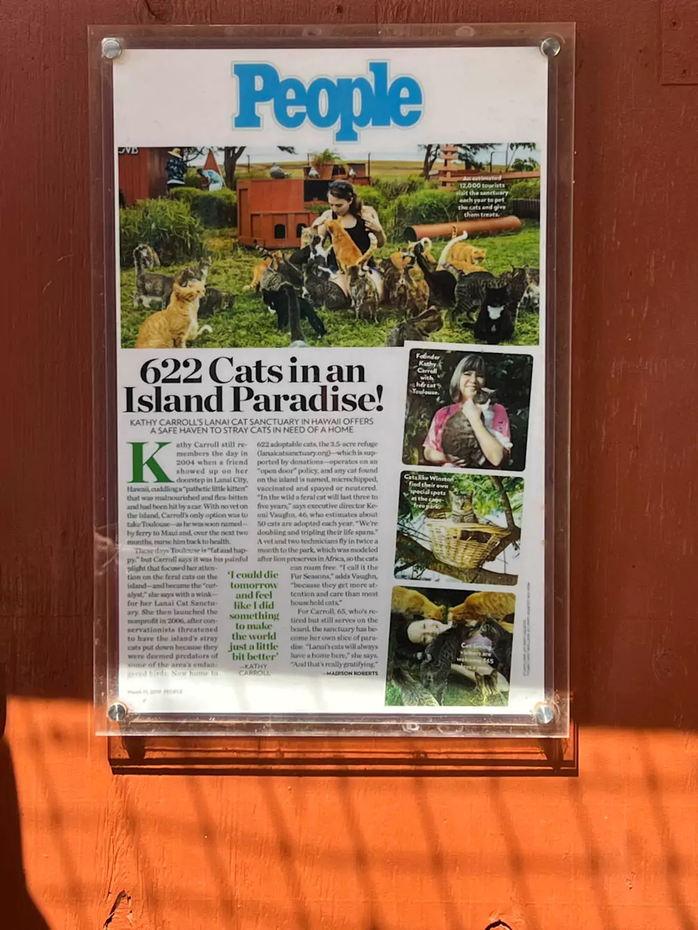 Framed People magazine article displayed at the Lāna‘i Cat Sanctuary, highlighting the sanctuary’s mission to rescue and care for cats on the Hawaiian island of Lāna‘i.