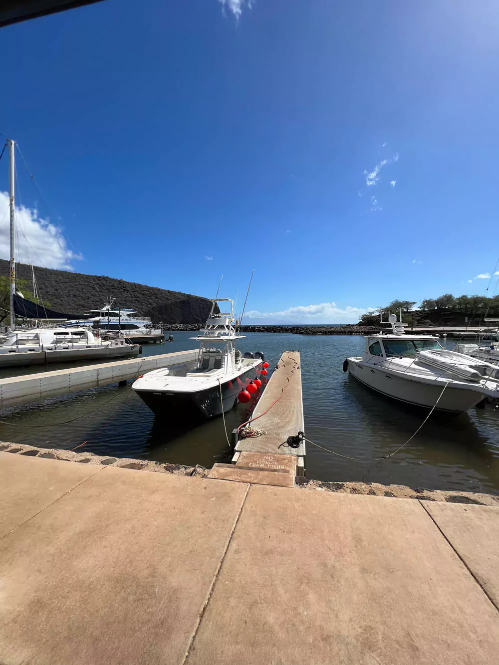 Boats docked in Lāna‘i Harbor, gently floating on clear blue water with a backdrop of rugged coastline and sunny Hawaiian skies.