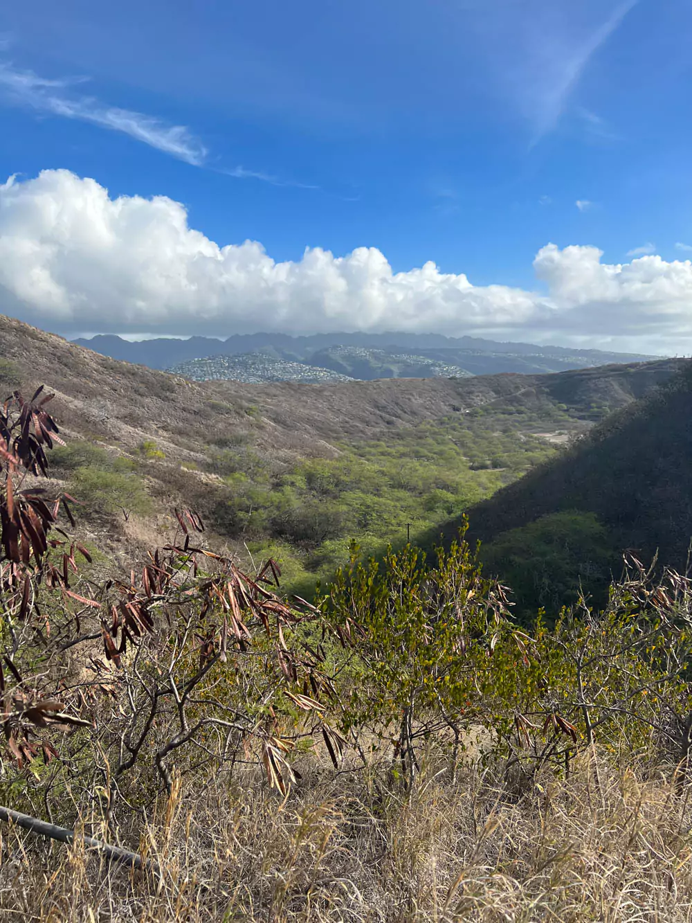 View of the Diamond Head State Monument crater on Oʻahu, showcasing the vast volcanic basin with rugged interior slopes and hiking trails winding through the landscape.