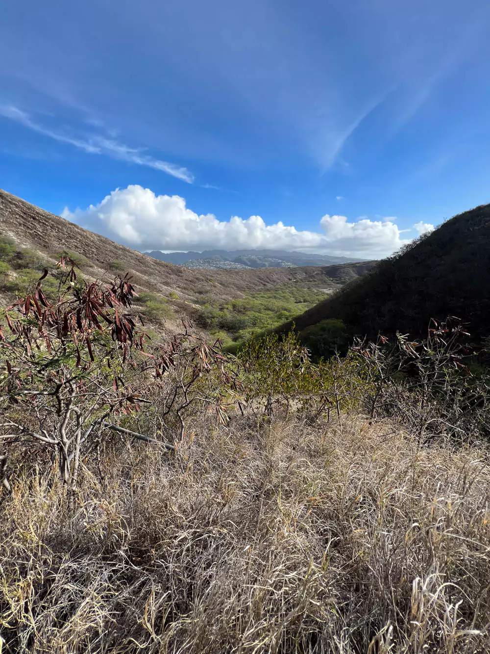 Aerial view of Diamond Head crater on Oʻahu, Hawaii, showing the vast volcanic bowl surrounded by rugged ridges and lush urban landscape below.