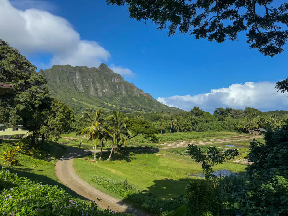 Kualoa Grown Tour farm at Kualoa Ranch on Oʻahu, featuring rows of tropical crops, educational signage, and scenic views of the Koʻolau Mountains in the background.