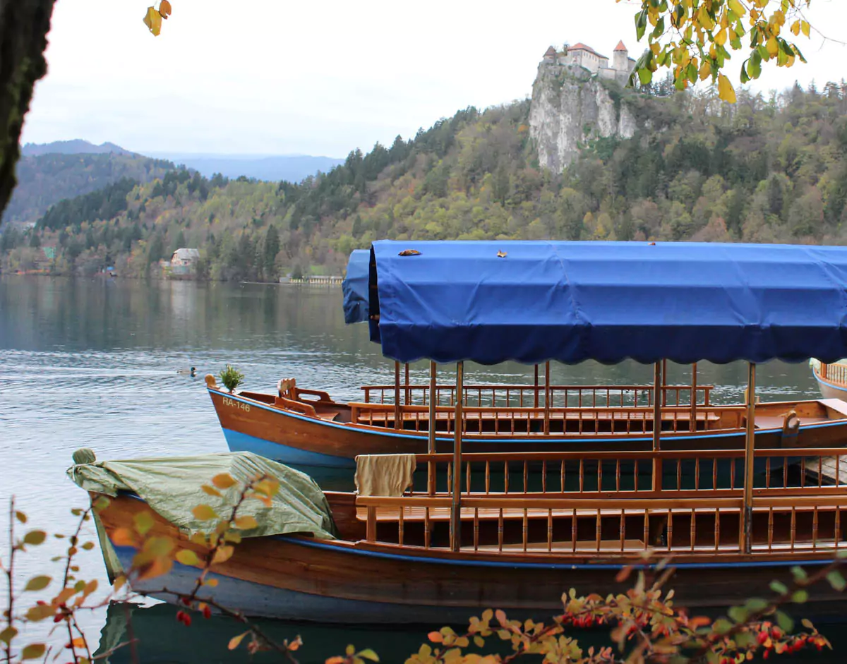 Traditional pletna flat-bottom wooden boats on Lake Bled, Slovenia, floating toward the island church, with Bled Castle perched on a cliff above the lake and the Julian Alps in the background.
