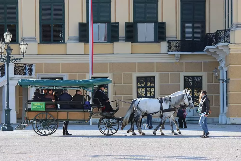 A horse-drawn carriage filled with visitors approaches Schönbrunn Palace in Vienna, Austria. The elegant carriage, led by two horses, adds a touch of old-world charm against the backdrop of the grand baroque palace.