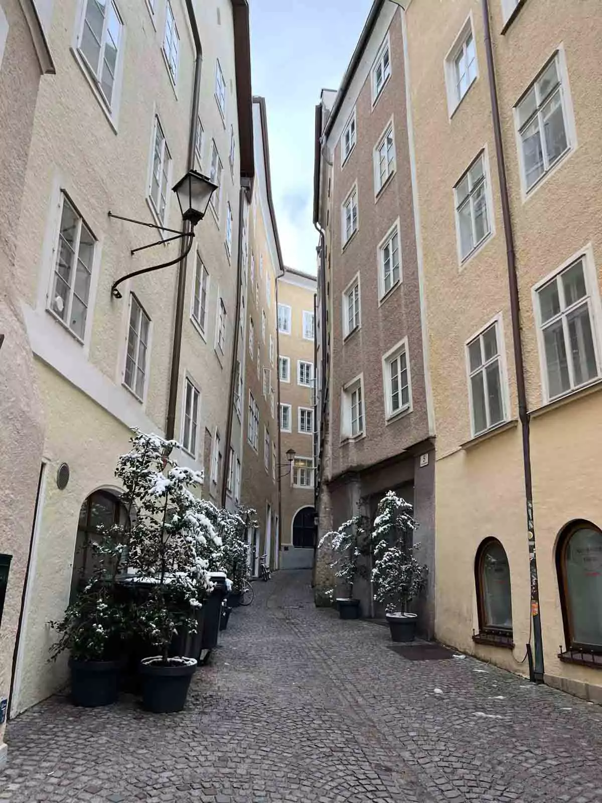 Narrow cobblestone alley in Salzburg, Austria, with snow-covered potted plants lining the walls, flanked by historic buildings and softly dusted in winter’s charm.