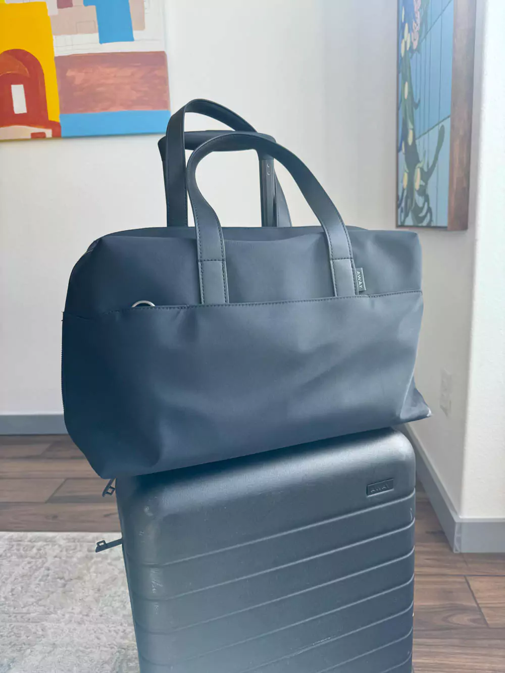 AWAY Luggage Everywhere Bag