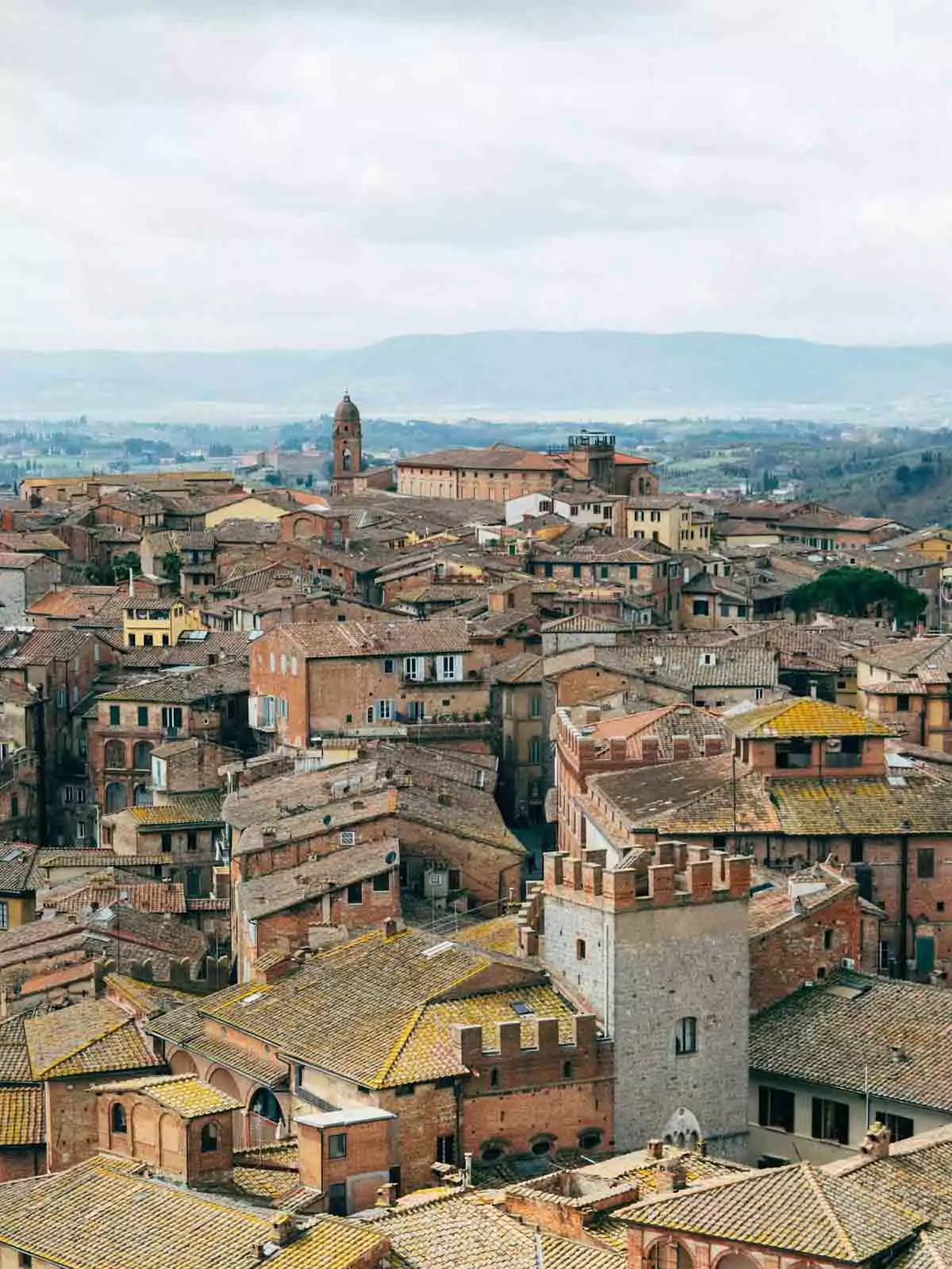 Brown and gray stone buildings in Siena, Italy, clustered closely along narrow streets, showcasing medieval architecture with shuttered windows and tiled roofs typical of the historic Tuscan hill town.