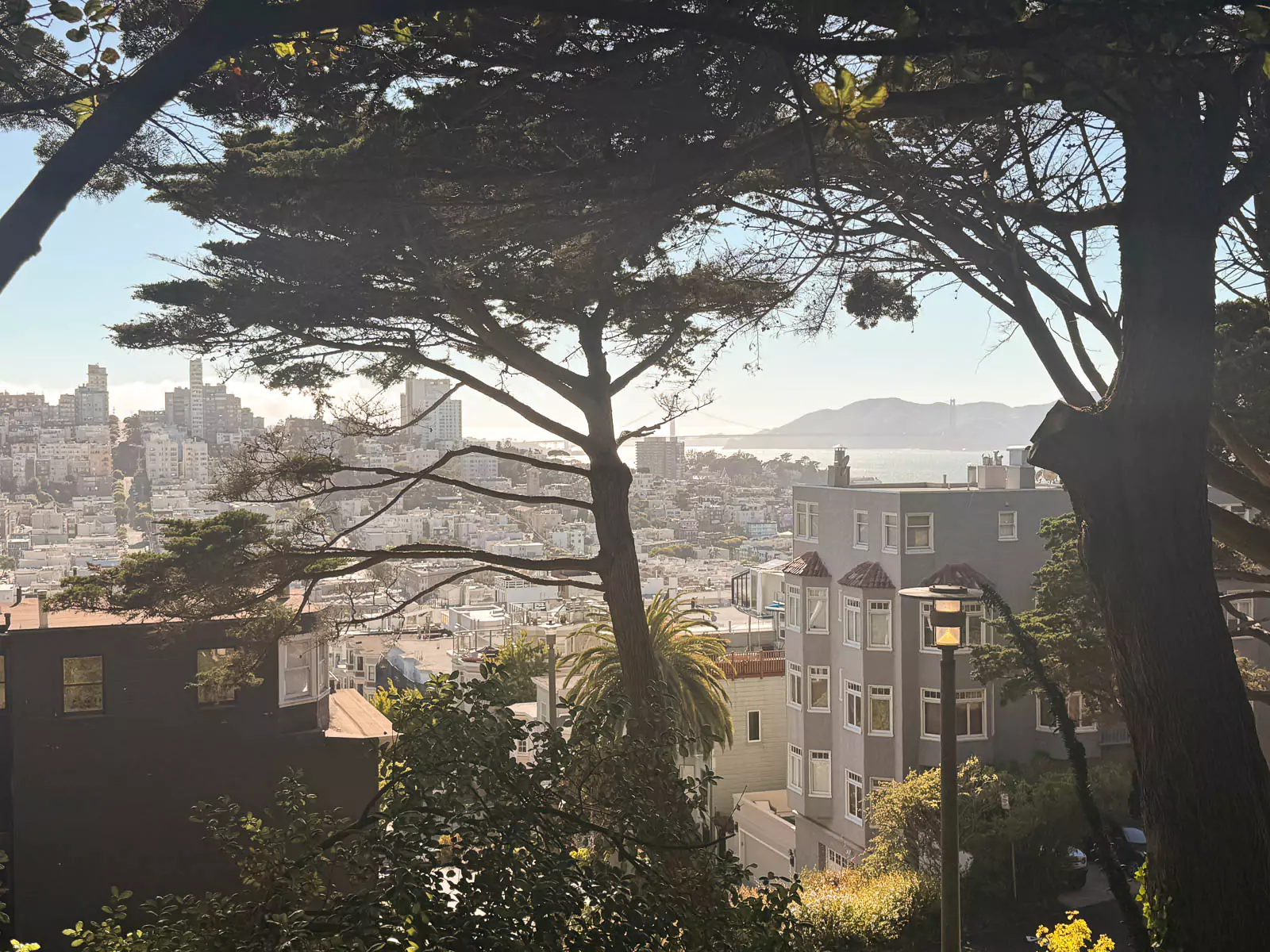 City view from Coit Tower in San Francisco, looking out toward the Golden Gate Bridge in the distance. The scene includes classic city rooftops, hills, and a clear sky framing the iconic red span over the bay.