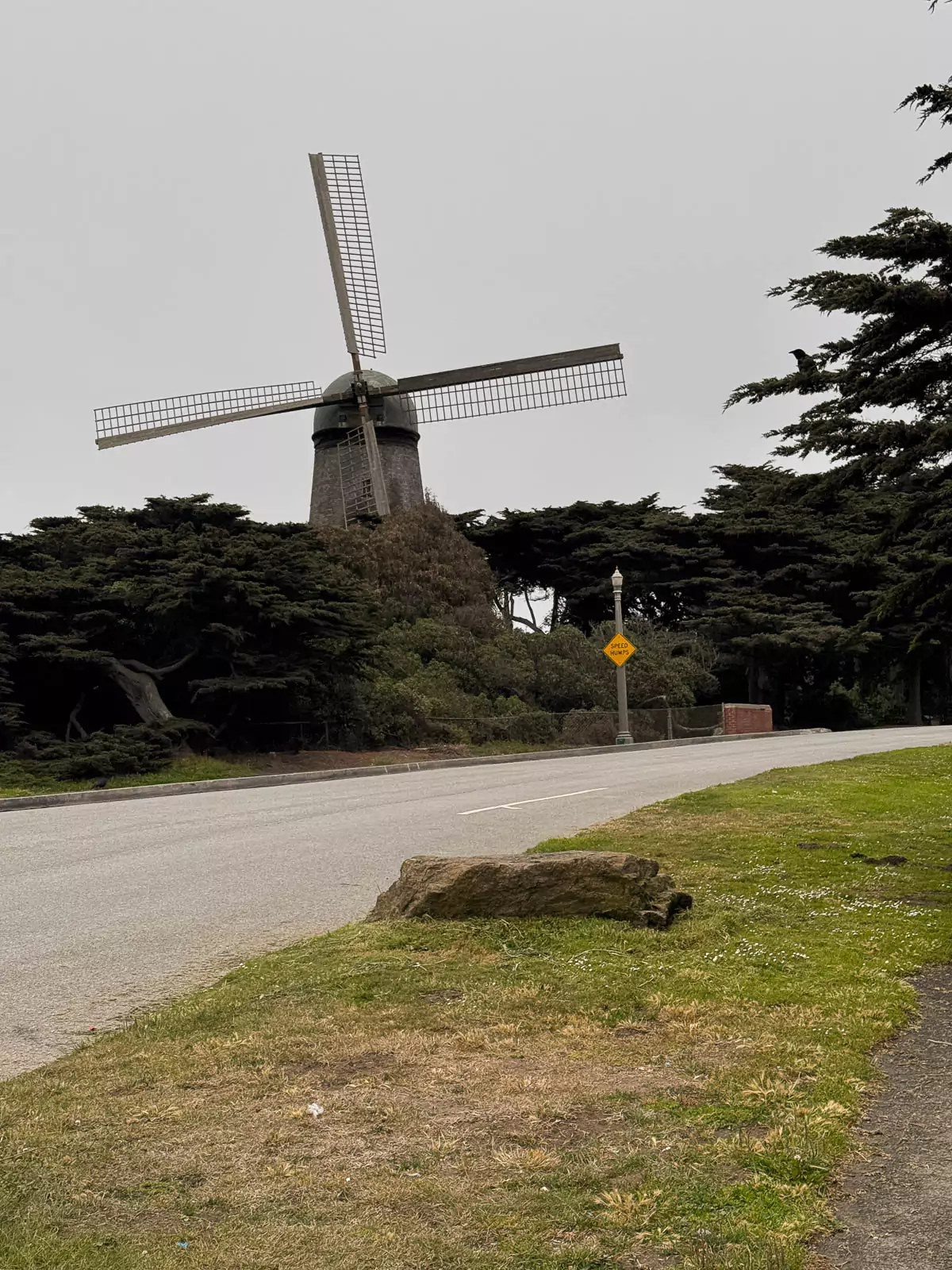 Dutch Windmill standing tall at the edge of Golden Gate Park. The scene blends coastal beauty with a touch of historic European charm.
