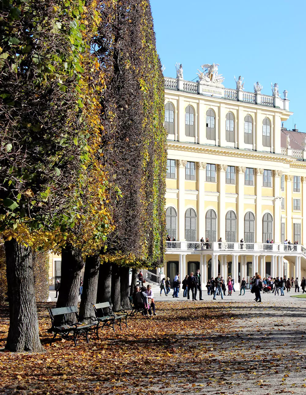 A sunlit, tree-lined path leads to Schönbrunn Palace in Vienna, with golden fall leaves scattered across the walkway. The vibrant autumn foliage and warm sunlight create a picturesque, peaceful approach to the historic site.