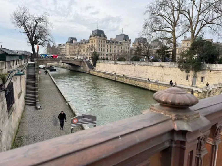 View of the Seine River from the Pont Alexandre III in Paris, France, with ornate lamp posts and gilded sculptures lining the bridge, and historic buildings and boats along the riverbank under a partly cloudy sky.