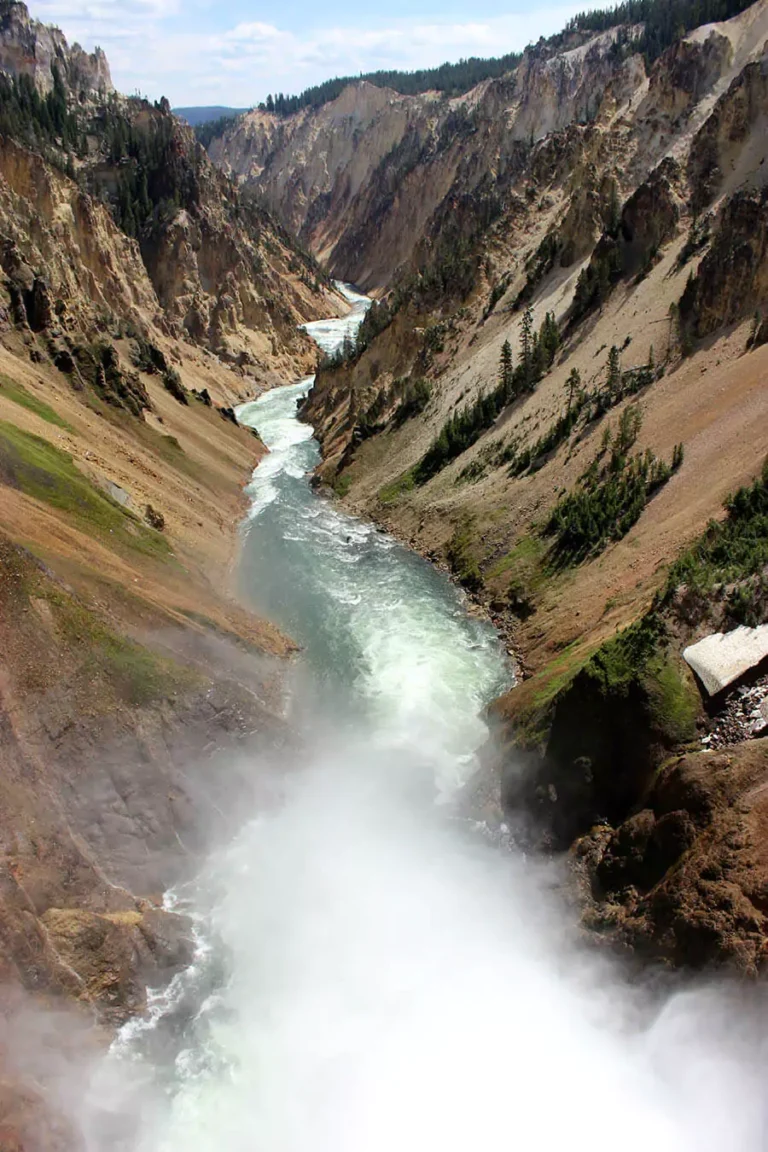 Grand Canyon of the Yellowstone in Yellowstone National Park, showcasing dramatic yellow and orange canyon walls carved by the Yellowstone River. A powerful waterfall cascades through the gorge, framed by pine trees and rugged cliffs.