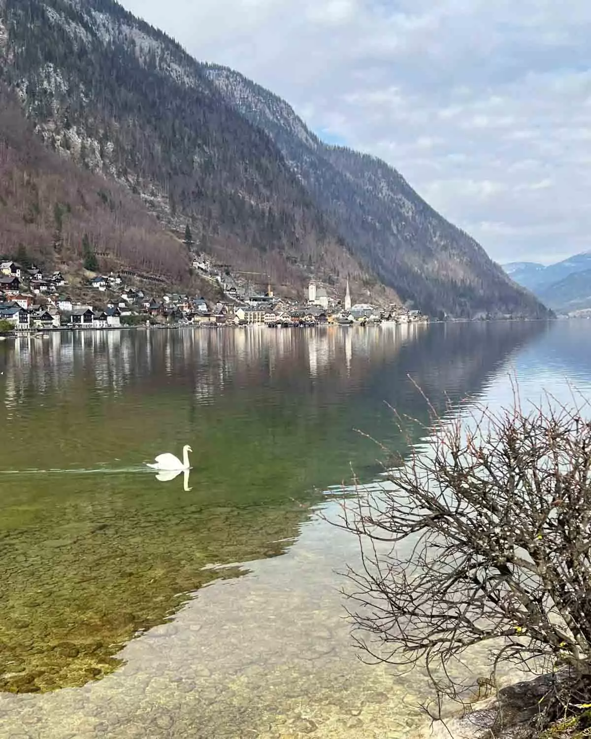 View of the village of Hallstatt, Austria, with a swan gracefully gliding across the calm lake in the foreground, surrounded by historic buildings and misty alpine mountains in the background.