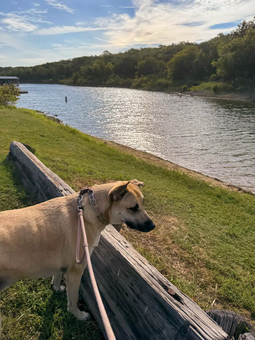Hank at Eisenhower State Park boat launch
