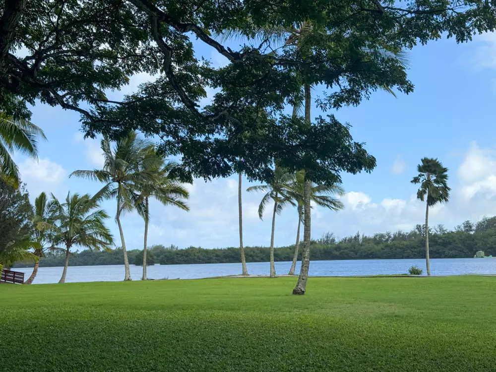Tall palm trees lining the edge of the ancient Hawaiian fishpond on the Kualoa Grown Tour, with calm water reflecting the greenery.