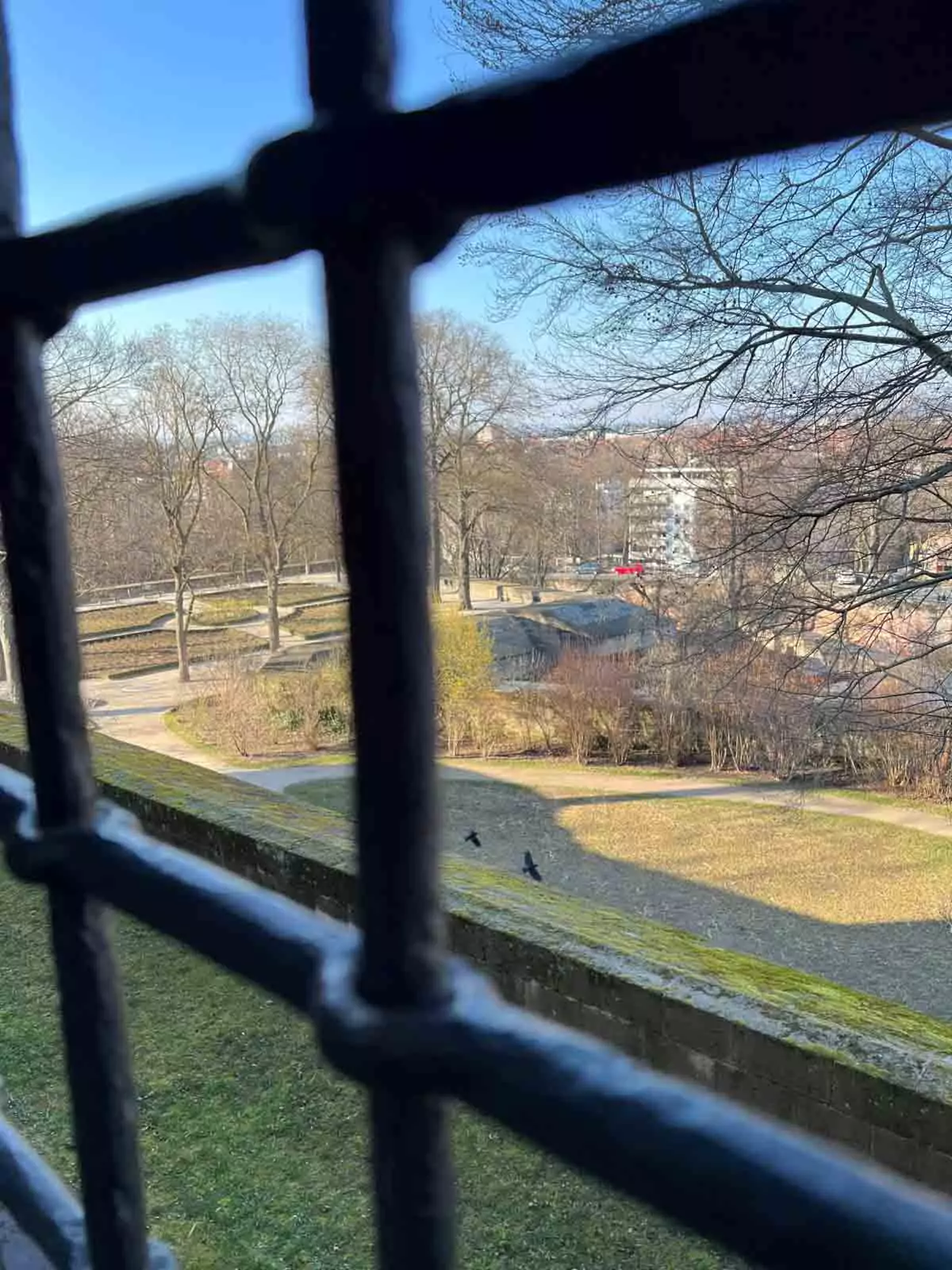 Winter view of the gardens at the Imperial Castle of Nuremberg, Germany, with bare trees, frosted hedges, and medieval stone walls surrounding the quiet, snow-dusted landscape.