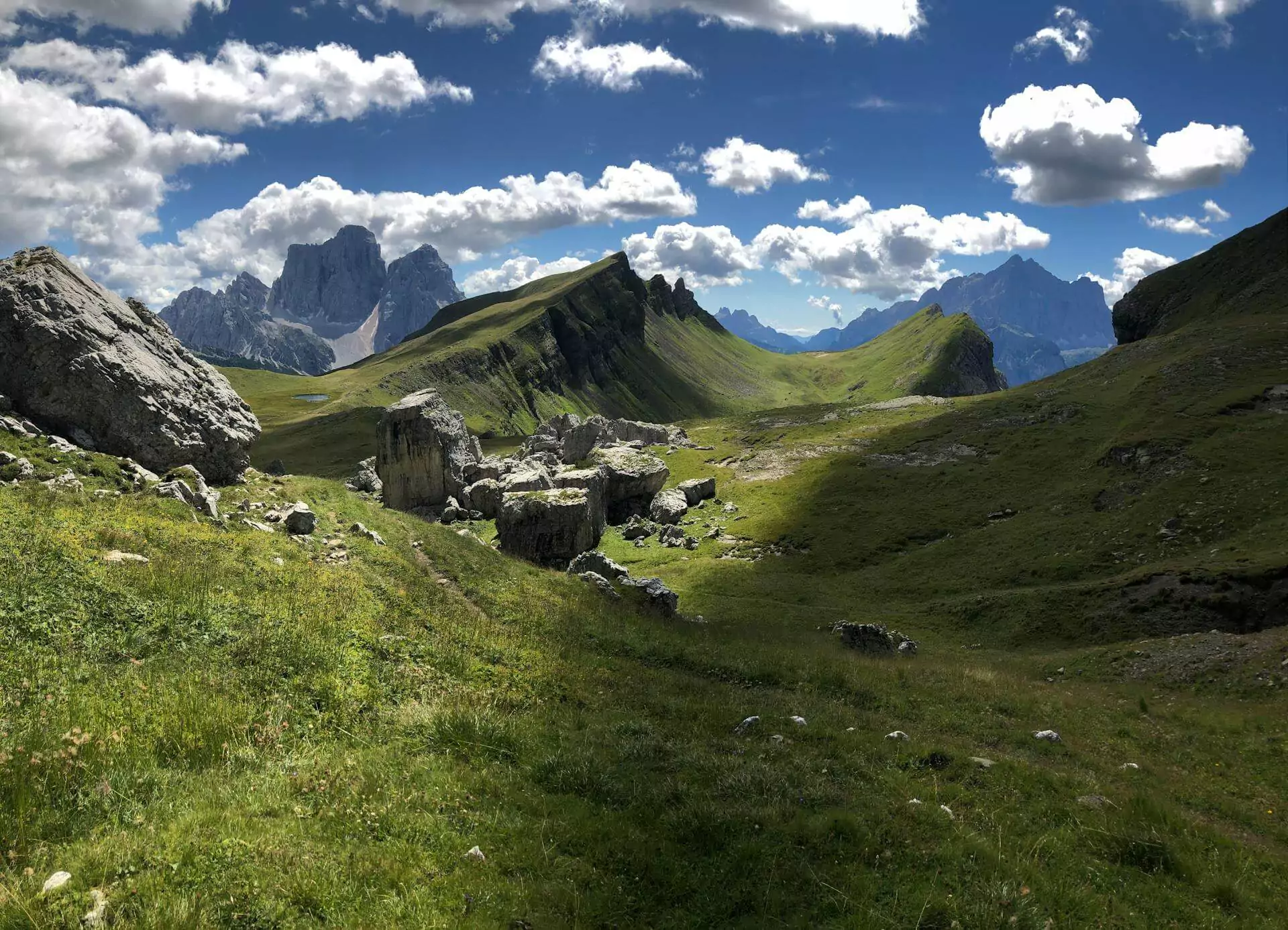 Green meadow on a mountaintop in the Dolomites, Italy, with wildflowers scattered across rolling grass and dramatic rocky peaks rising in the background under a clear blue sky