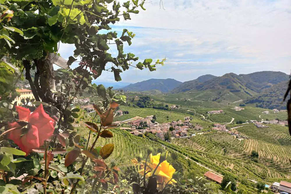 Rolling vineyards of the Prosecco Hills in Italy, with neatly terraced rows of grapevines, hilltop farmhouses, and misty valleys under a golden afternoon light
