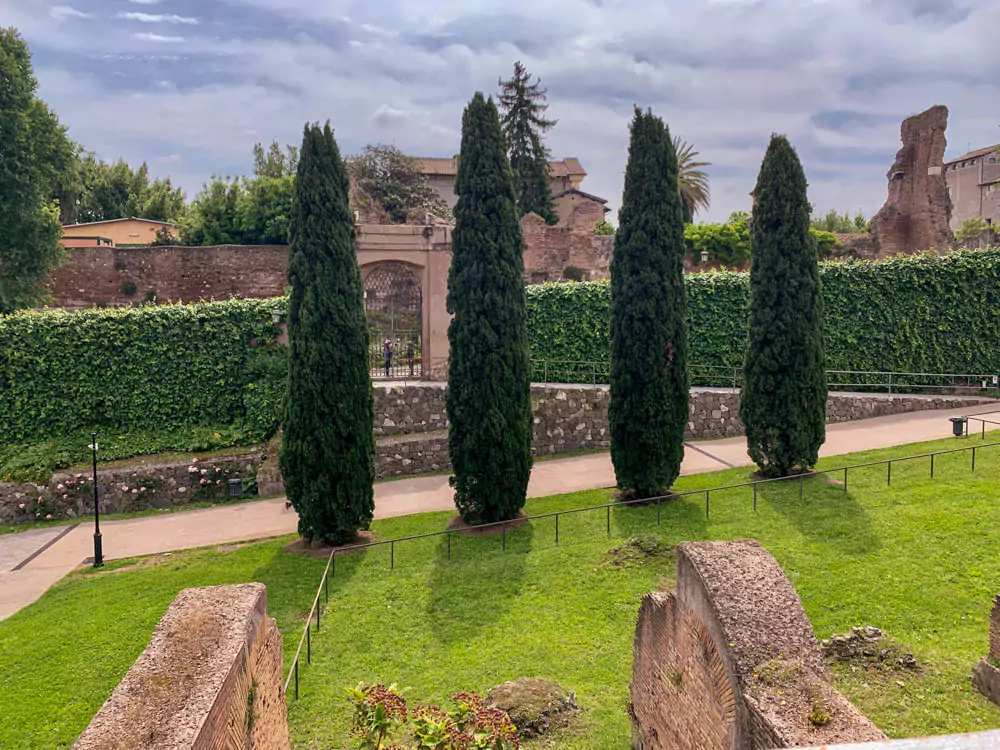 Tall, thin Italian cypress bushes standing in a row, their dark green foliage and slender shape adding a formal, elegant touch to the Mediterranean landscape.
