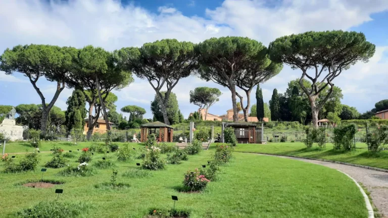 Rome’s Rose Garden (Roseto Comunale) with blooming rose bushes in a variety of colors, set along gravel paths with views of historic city landmarks and the Aventine Hill in the background.