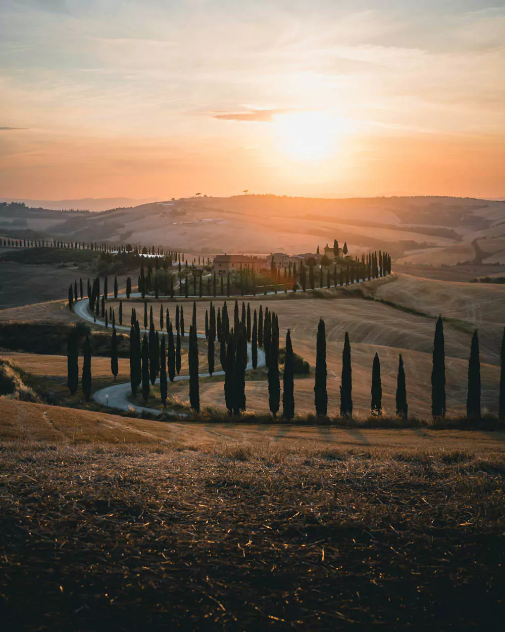 Winding road through the hilly landscape of Tuscany, Italy, flanked by cypress trees and rolling green fields, leading toward distant farmhouses under a soft, golden sky.