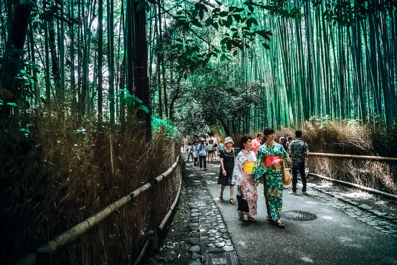 Arashiyama Bamboo Grove