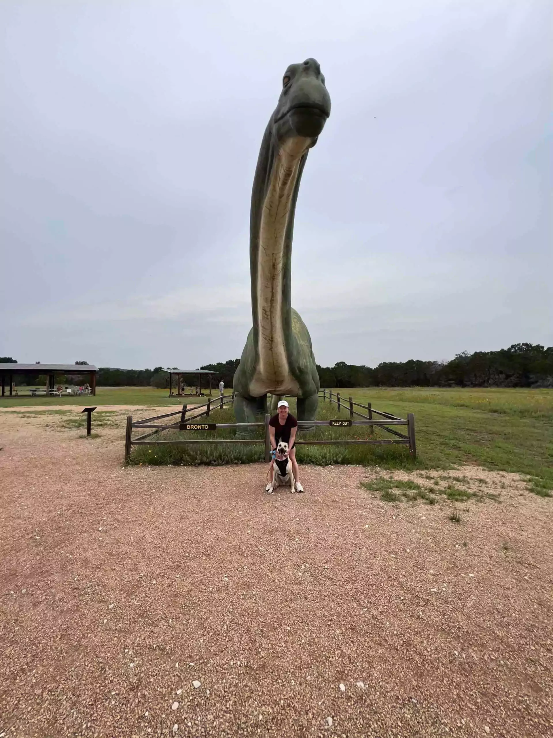 Katie with dog Hank standing in front of Bronto the long neck statue at dinosaur valley state park