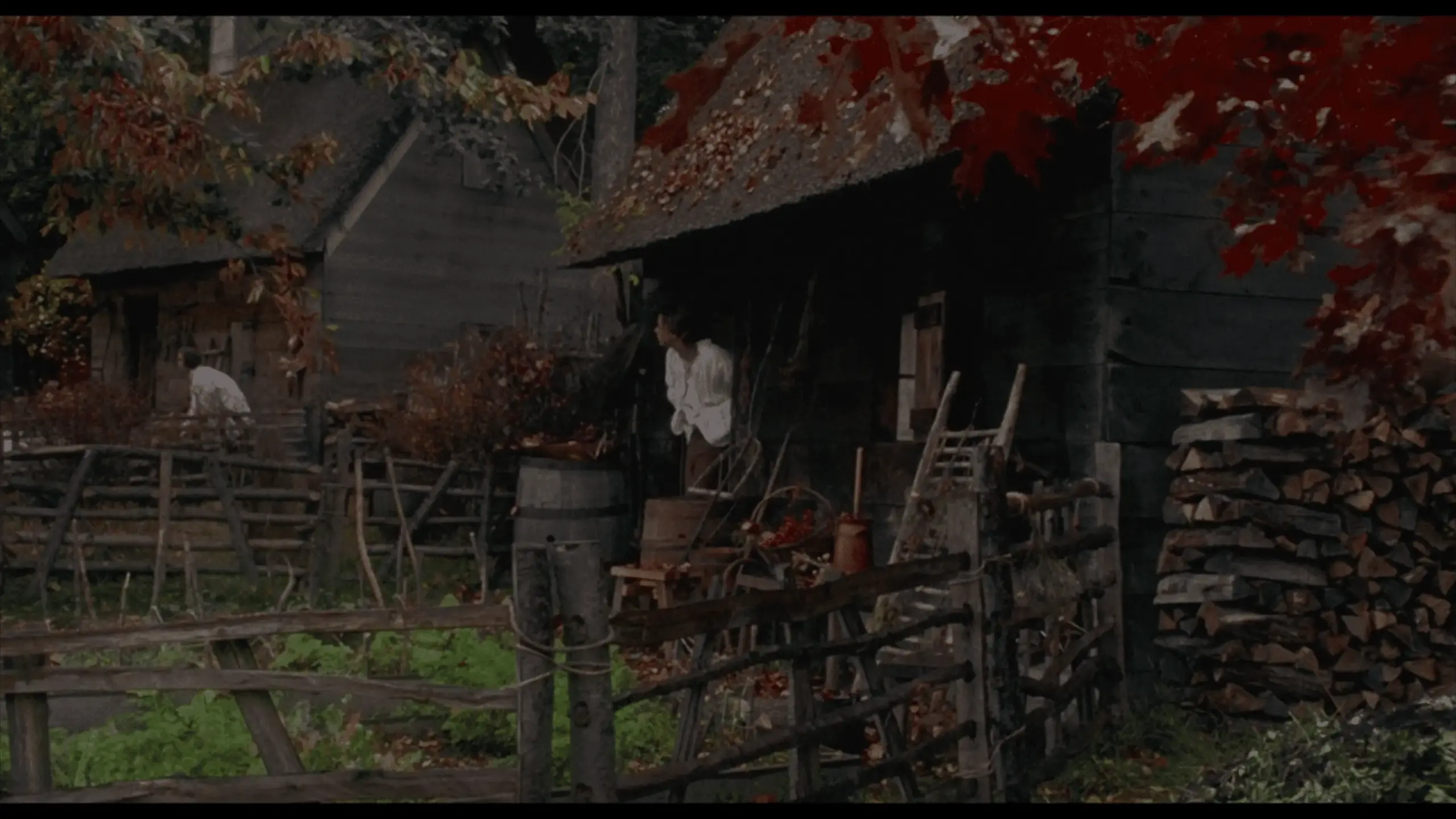 Binx, the black cat, sits outside his quaint colonial-style home in Pioneer Village, Salem, as seen in Hocus Pocus. The historic wooden house with white trim and a sloped roof provides a cozy backdrop to the magical scene.