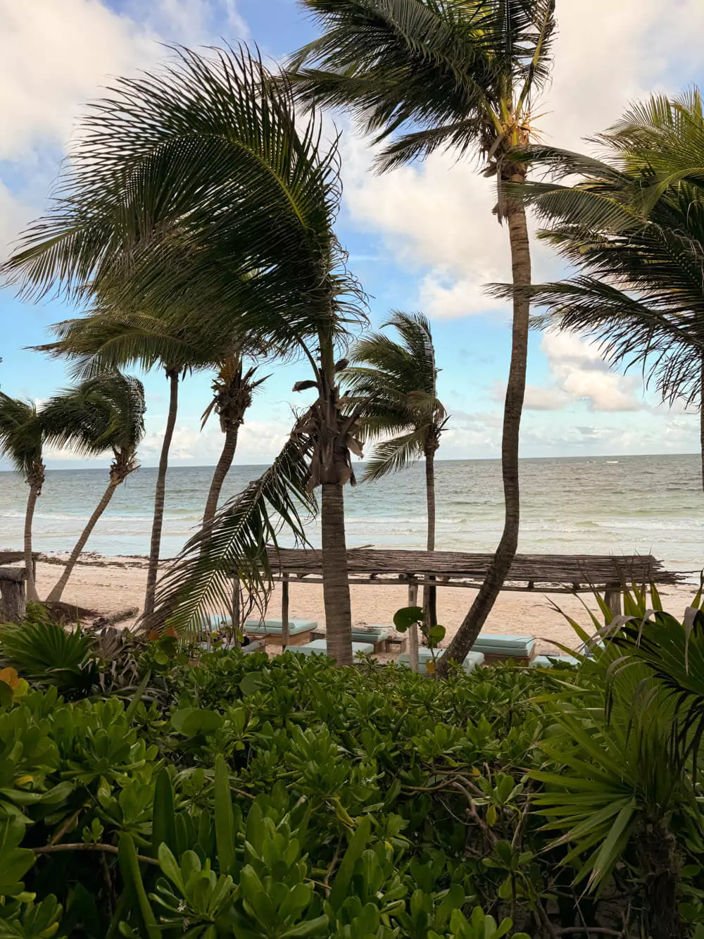 Pristine sandy beach with clear turquoise water in Tulum, Mexico, framed by swaying palm trees and gentle waves under a bright Caribbean sky.