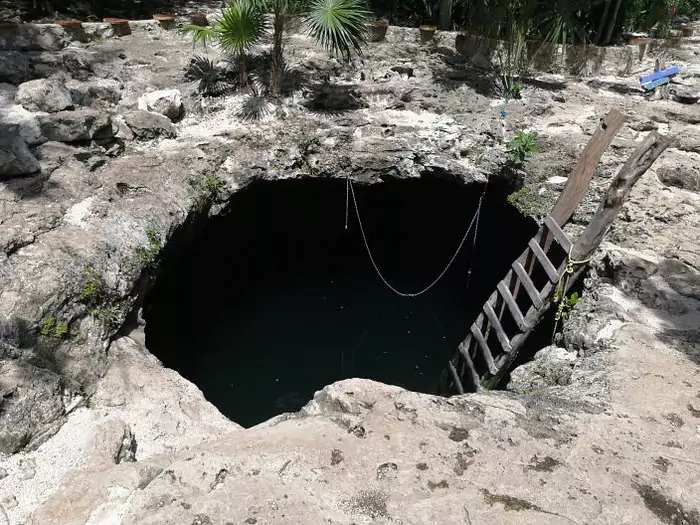 Cenote Calavera in Tulum, Mexico, a unique open cenote with three circular openings in the limestone surface, where swimmers dive into the clear, refreshing water surrounded by rugged natural rock.