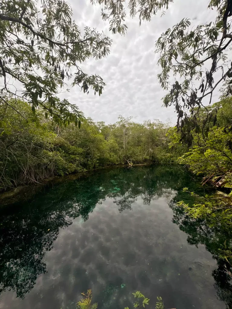 Cenote Xunaan-Ha near Tulum, Mexico, featuring crystal-clear freshwater surrounded by lush jungle, wooden platforms, and natural limestone formations perfect for swimming and snorkeling.