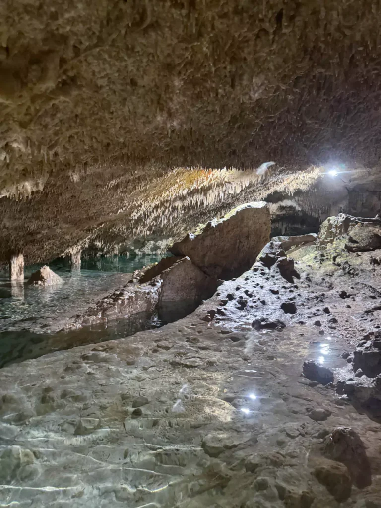 Private cenotes tour in tulum