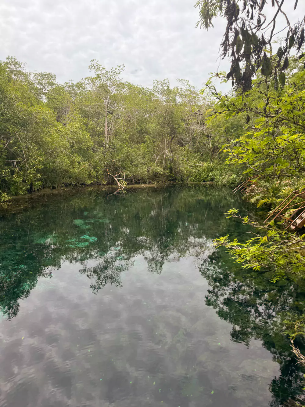 Xunaan-Ha Cenote in Mexico, featuring a peaceful, open pool of clear blue water surrounded by lush jungle vegetation and rocky limestone edges, perfect for swimming and snorkeling.