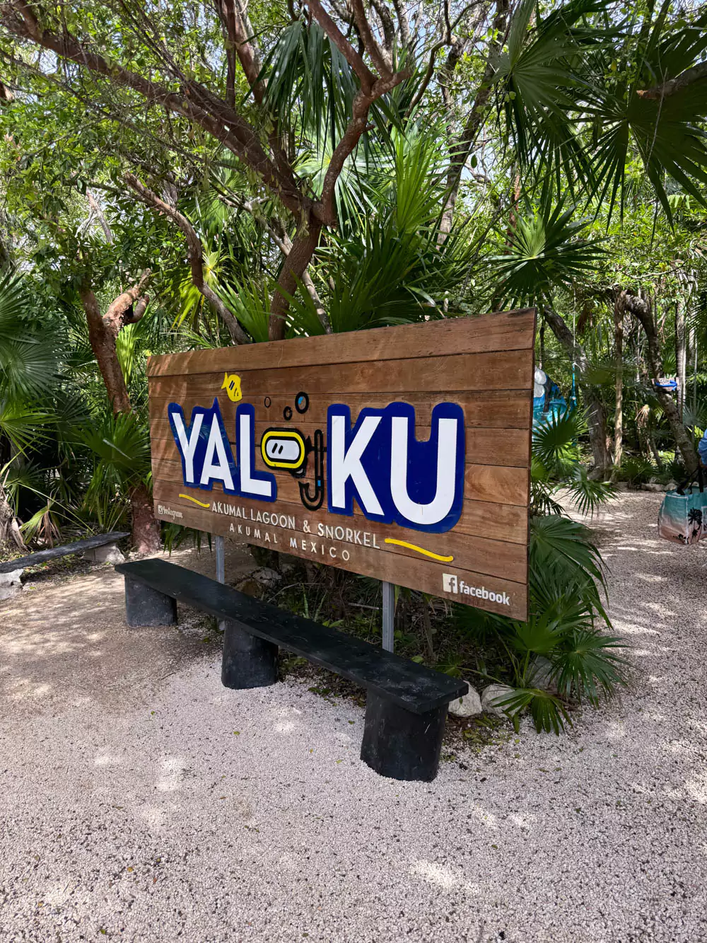 Wooden sign for Yal-Ku Cenote, with hand-painted lettering and tropical plants surrounding the entrance. The rustic sign marks the way to this tranquil, semi-open cenote known for snorkeling and serene natural beauty.