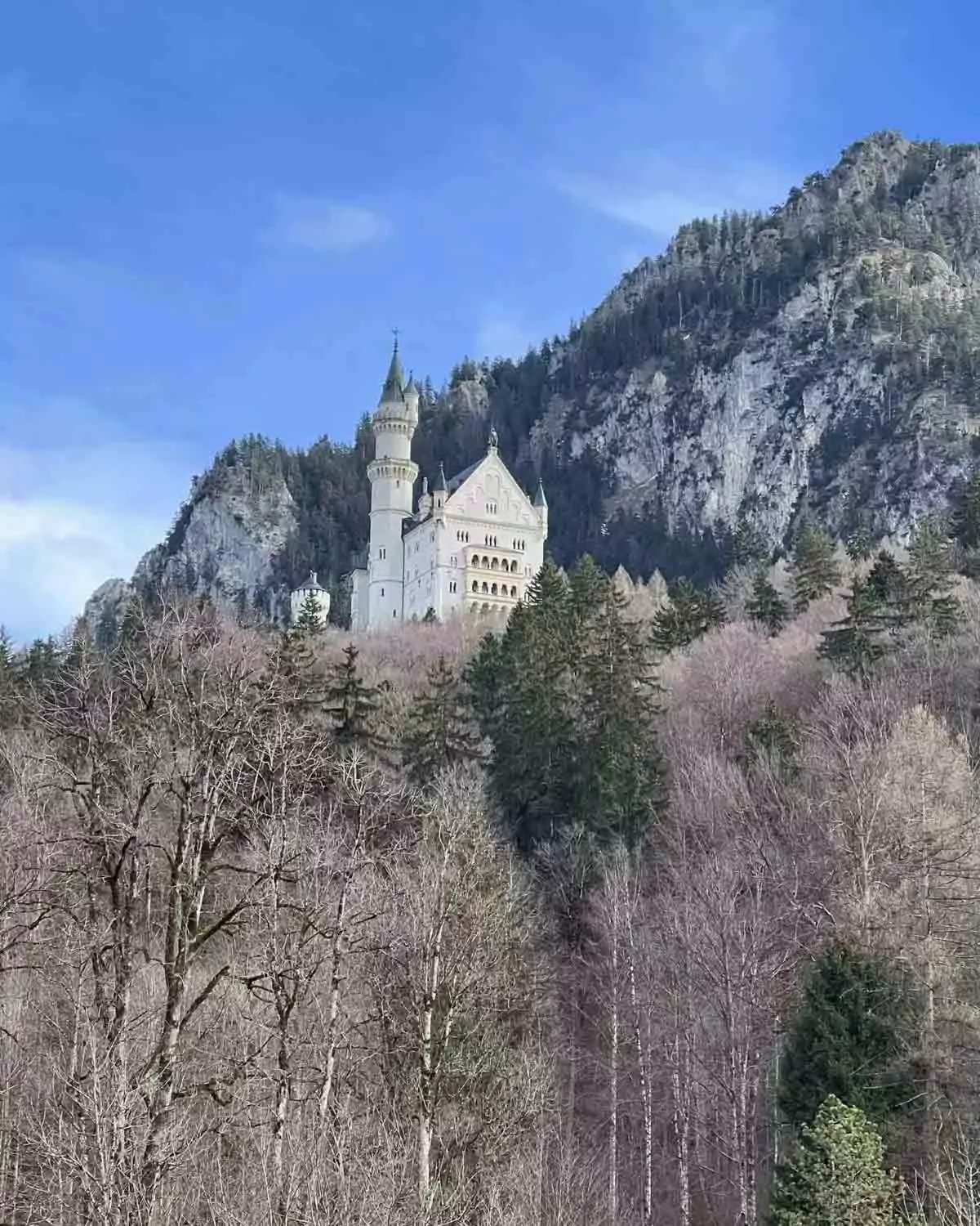 Fairytale-like Neuschwanstein Castle perched on a forested hill in the Bavarian Alps of Germany, with its white limestone facade and soaring towers framed by rugged mountain peaks