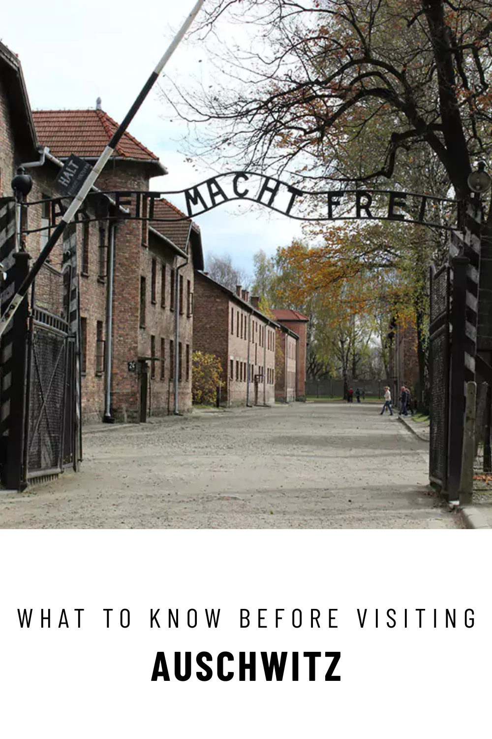 Visiting Auschwitz & Birkenau Pin 2