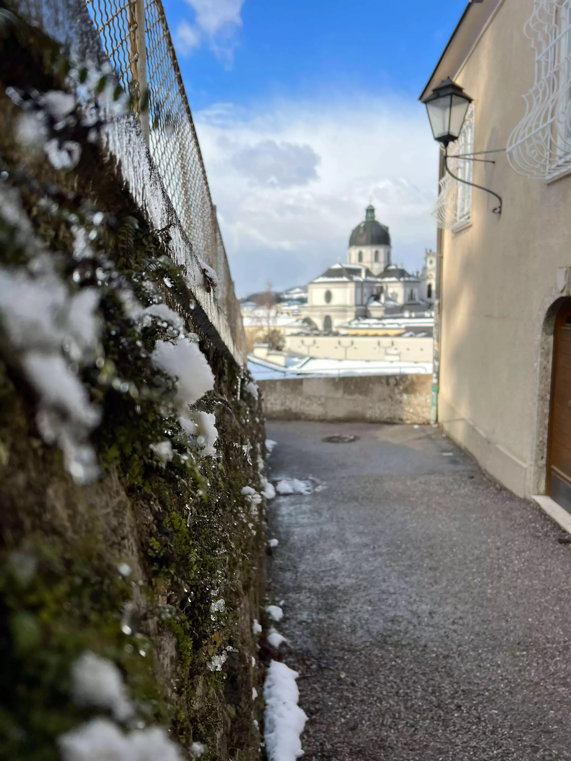 Snow-covered moss clings to a weathered brick wall in Salzburg, Austria, with the rooftops of Old Town visible in the soft-focus distance. The contrast of natural texture and historic architecture captures a quiet, wintry moment.