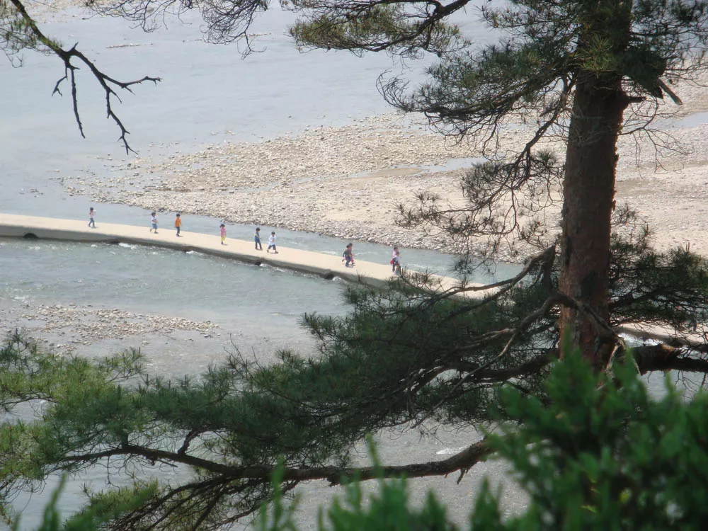 kids crossing the bridge