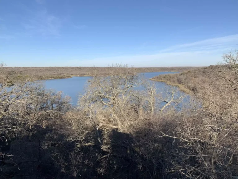 Lake Mineral Wells State Park
