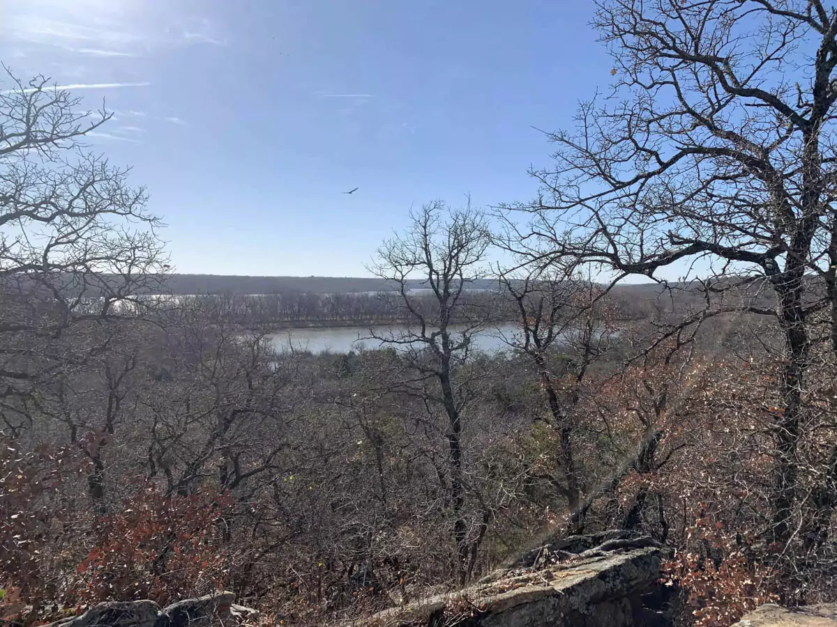 bird in the sky at Lake Mineral Wells State Park