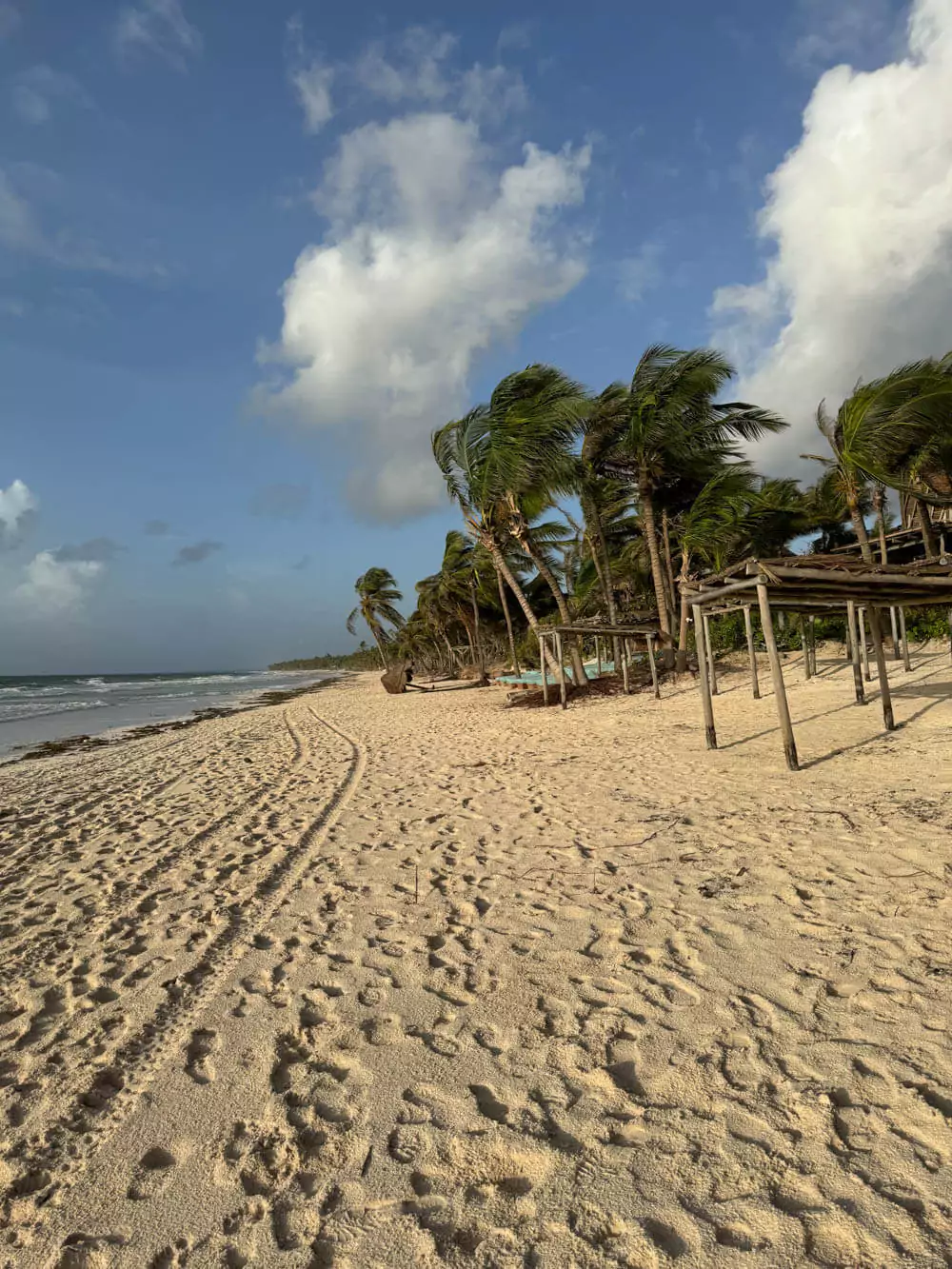 A sandy beach in Tulum with palm trees swaying in the wind under a partly cloudy sky