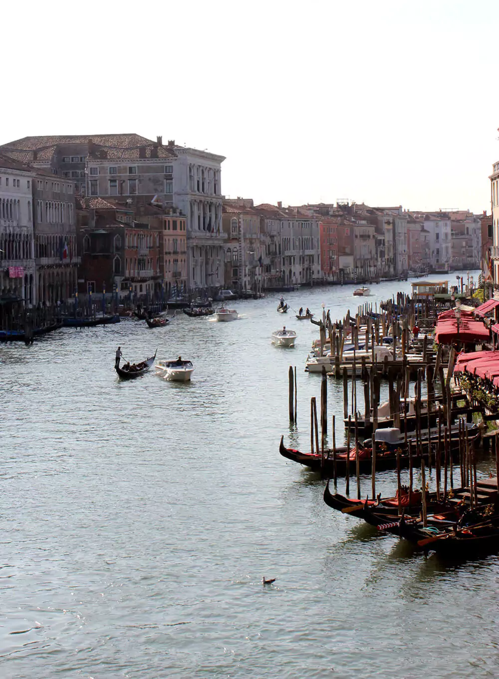 Boats and gondolas floating along the Grand Canal in Venice, Italy, with historic buildings lining the waterway and passengers enjoying views of the city's iconic bridges and architecture.