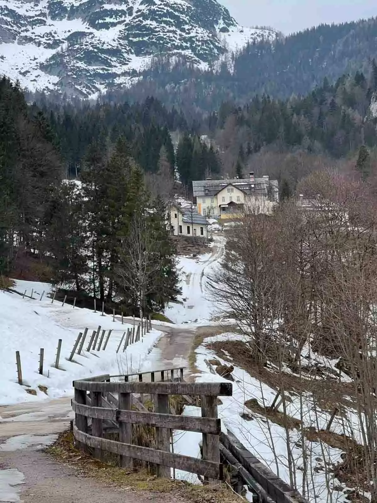 Snow-covered mountain view outside the Hallstatt Salt Mine in Austria, with frosted trees, alpine slopes, and a wintry landscape stretching across the Dachstein mountain range.
