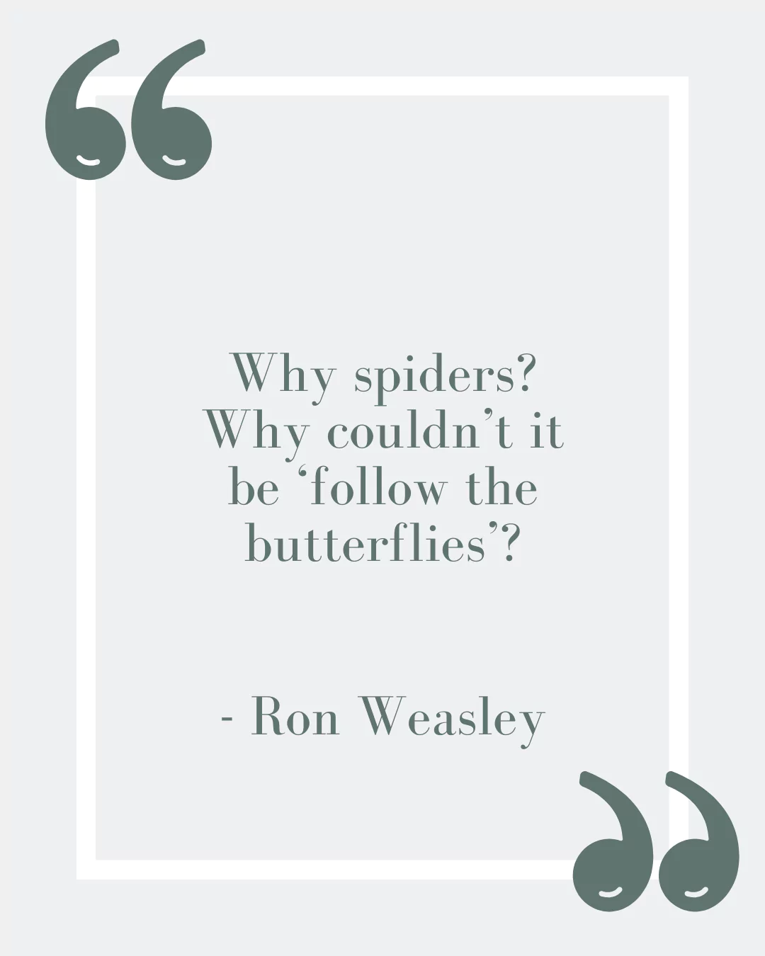 “Why spiders? Why couldn’t it be ‘follow the butterflies’?”