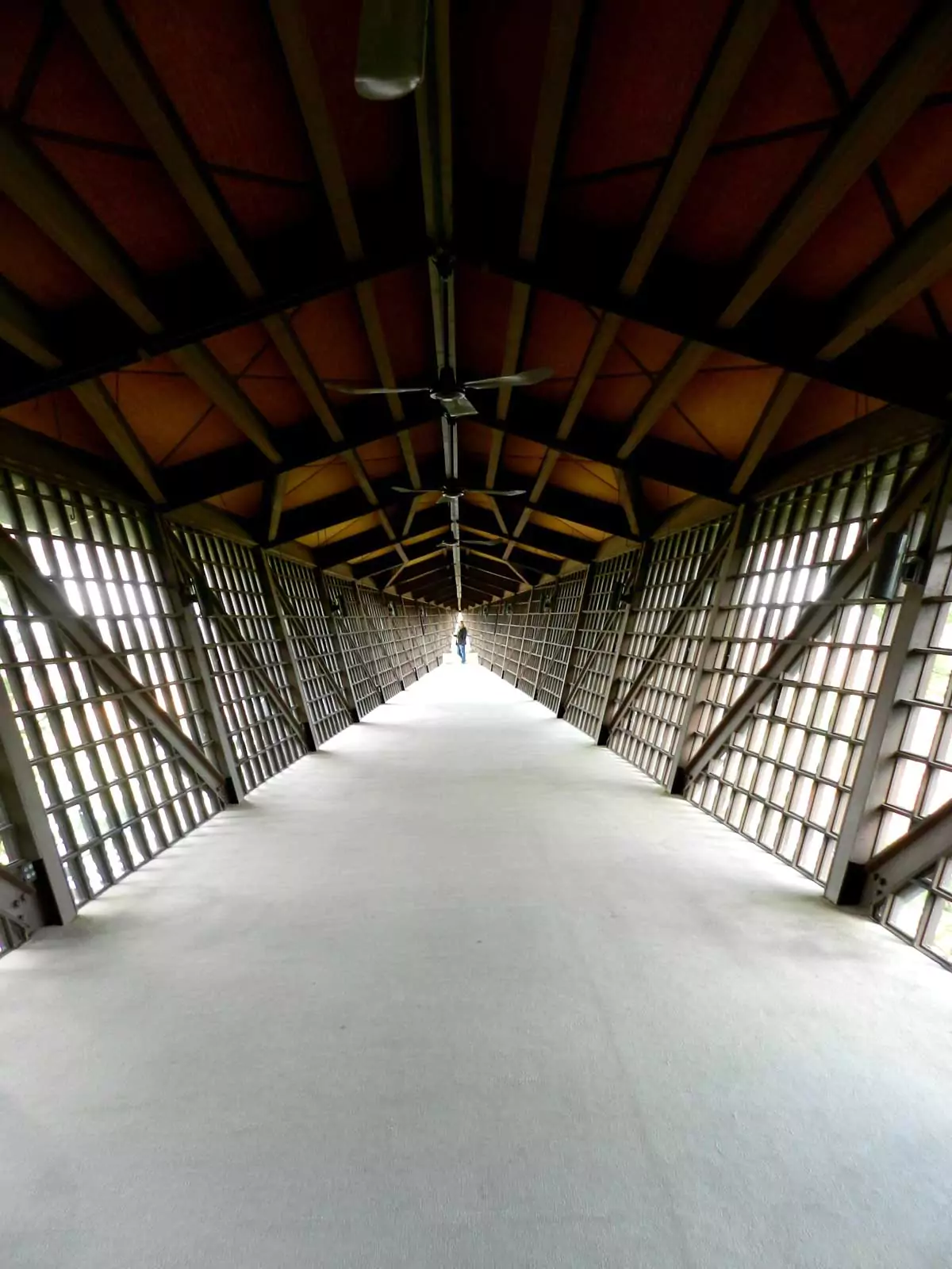 atie standing at the far end of the Infinity Room at the House on the Rock in Wisconsin, surrounded by glass walls that stretch over the treetops, a highlight of weird Wisconsin roadside attractions.