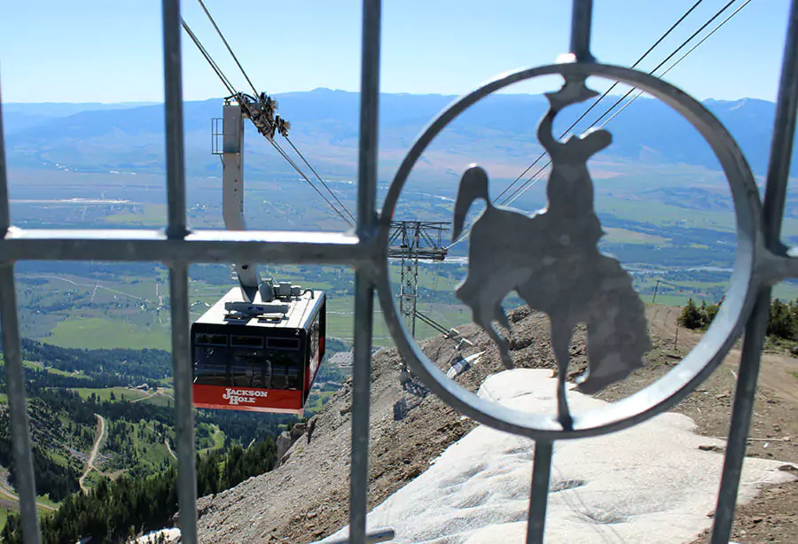 A gondola lift ascending over snowy slopes at Jackson Hole Mountain Resort, with pine trees and mountain peaks in the background. The cable car transports skiers and visitors to higher elevations for winter activities.
