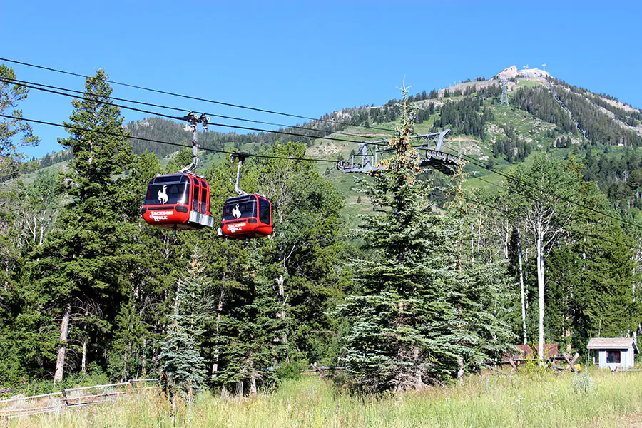 Several gondola cabins travel along cables above green, forested mountains at Jackson Hole Mountain Resort in Wyoming. The summer landscape features lush pine trees and rolling hills under a bright sky.