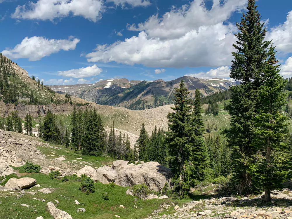 Lush green mountain range at Jackson Hole Mountain Resort in Wyoming during summer, covered with dense pine forests under a clear blue sky. The vibrant landscape showcases the resort’s scenic natural beauty outside of ski season.