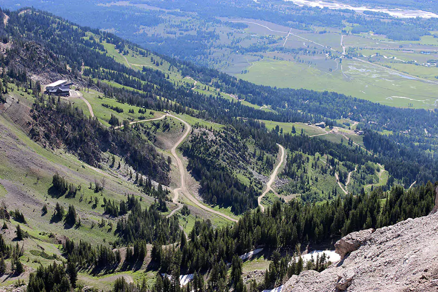 A scenic view looking down a ski slope at Jackson Hole Mountain Resort, with snow-covered trails winding through pine trees under a clear sky. The expansive mountain landscape showcases a popular winter sports destination.